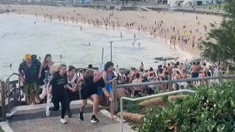 هجوم سيدني: ارتفاع عدد القتلى إلى 16