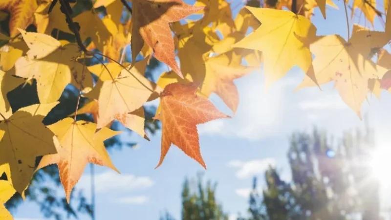 انخفاض طفيف في درجات الحرارة اليوم