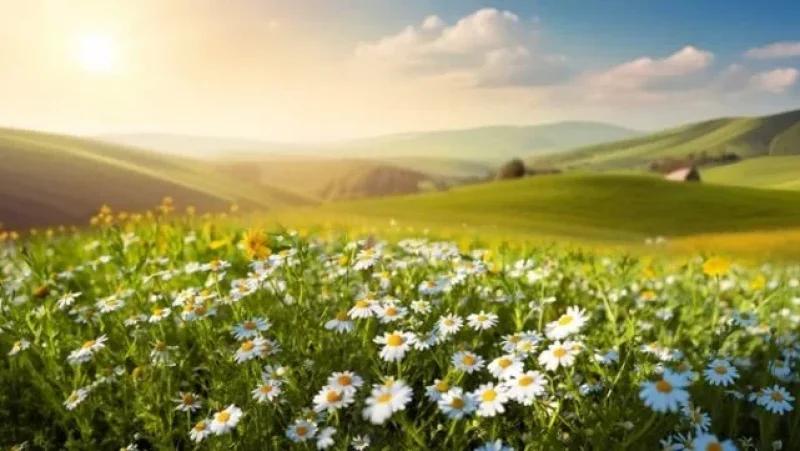 طقس الأحد 4 جانفي 2026