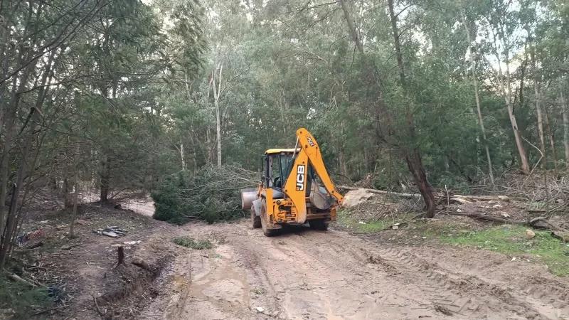 تدخلات بالجملة للحماية المدنية لإزالة الأشجار المتساقطة من الطرقات