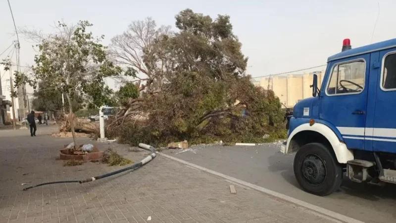قبلي: رياح قوية تتسبّب في سقوط أشجار وأعمدة كهربائية
