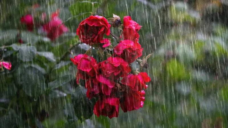 الأجواء الشتوية مُتواصلة يوم الأحد