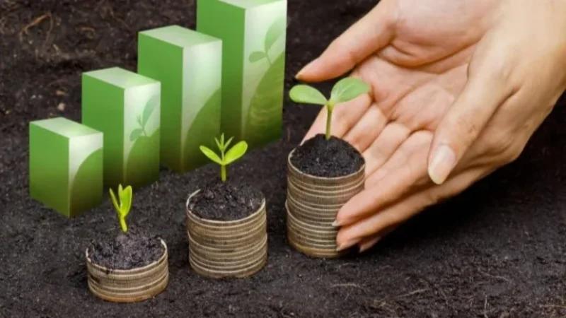 قفصة: المصادقة على مشاريع فلاحية باستثمارات تفوق 20 مليون دينار