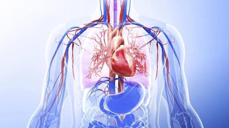 أوّل أيام الصيام.. كيف يُعيد جسمك برمجة نفسه؟