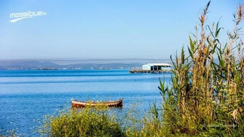 طقس الأربعاء 25 فيفري 2026