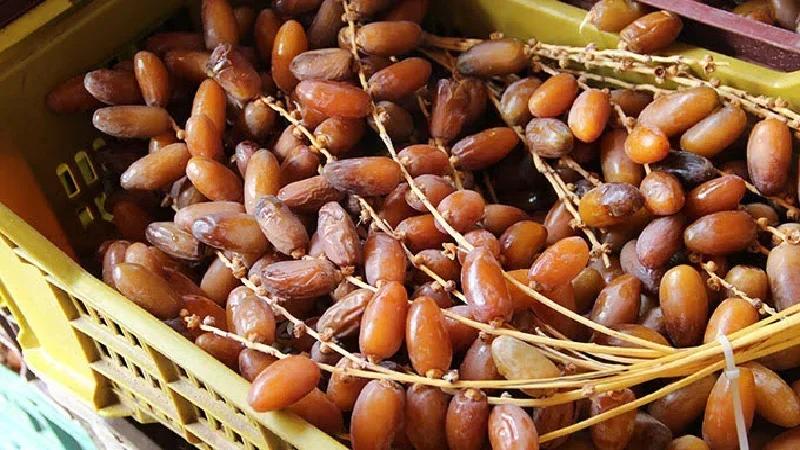 ارتفاع عائدات تصدير التمور بـ4.4% و'دقلة النور' في الصدارة