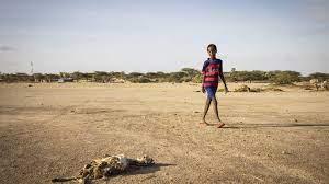African children bearing the brunt of climate change impacts