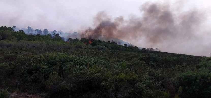 Tunisia – Two new forest fires in Sejnane