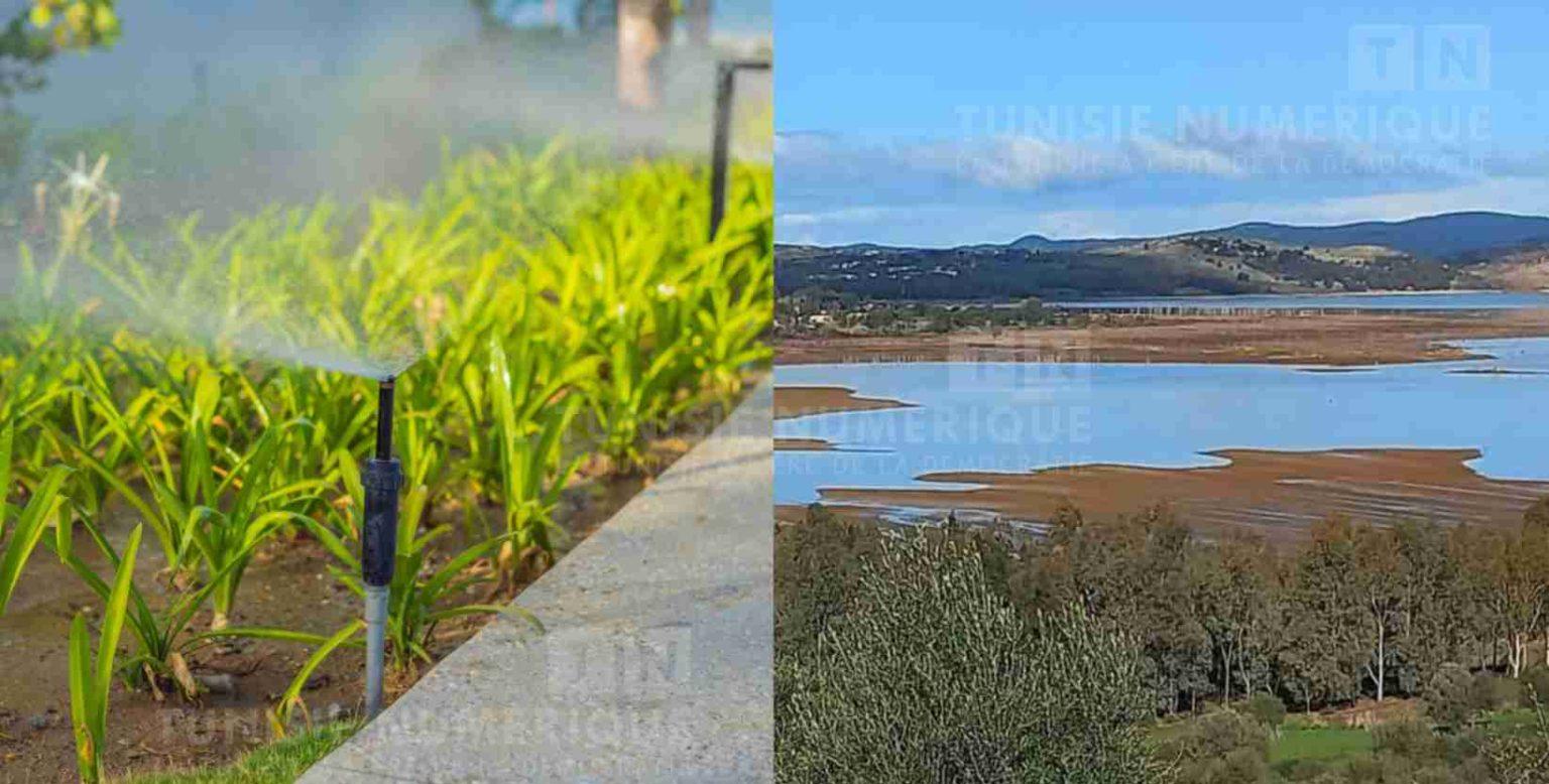 Tunisia-Beja: Farmers urged not to plan irrigated crops due to drought