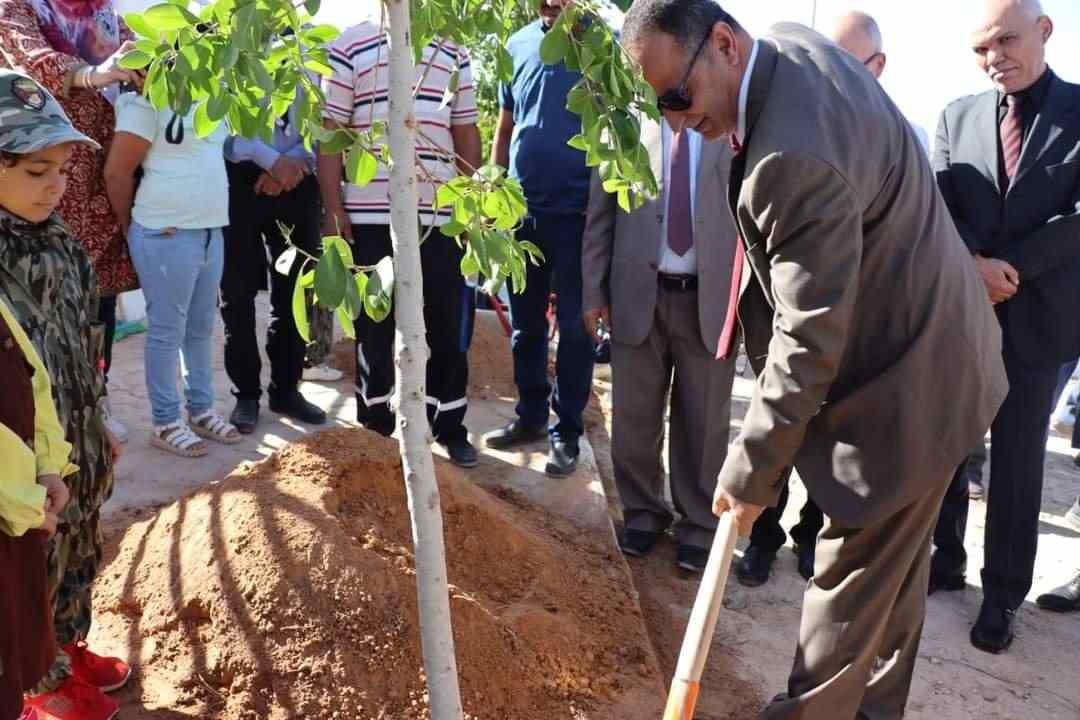 Tunisia-Medenine: Towards planting 50 thousand trees in different delegations