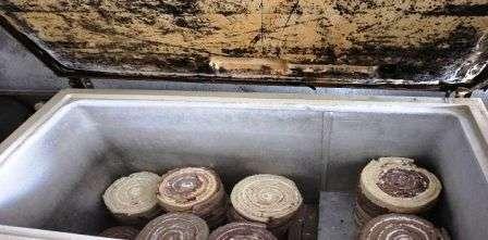 Tunisia: Zaghouan: Seizure of poorly stored pieces of cake for end of year celebrations