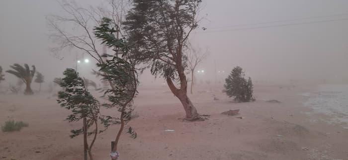 Tunisia-Violent winds with speed of 110 km/h in several regions
