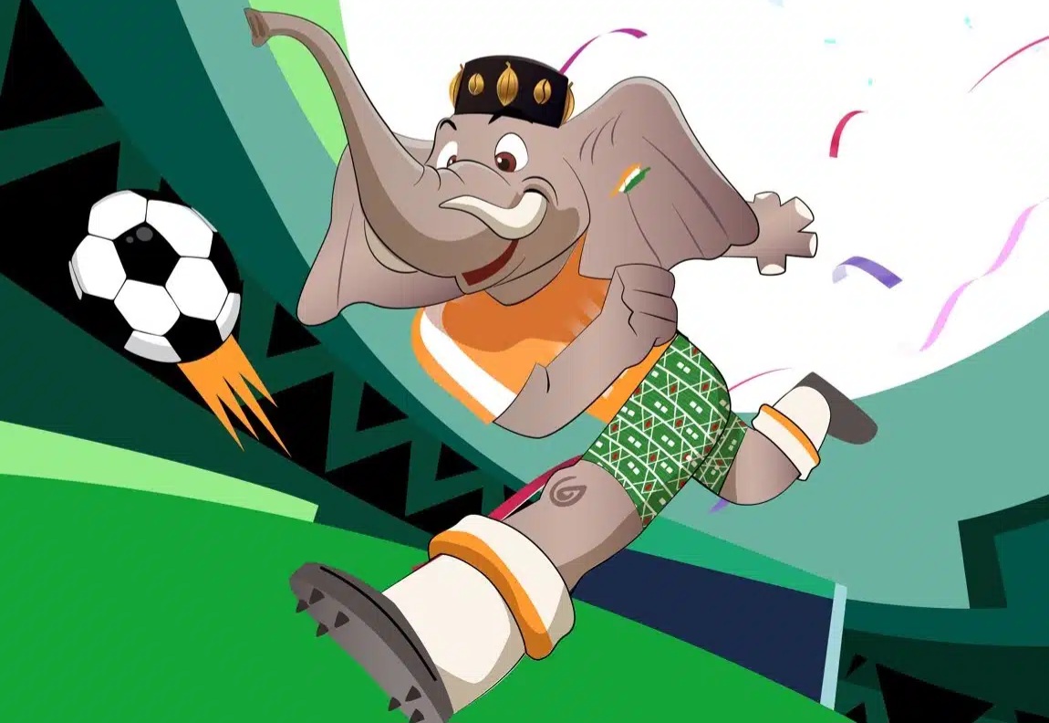 AFCON 2024: nickname of 24 participating selections