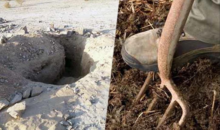 Tunisia-Kef: Arrest of gang specializing in search for treasures