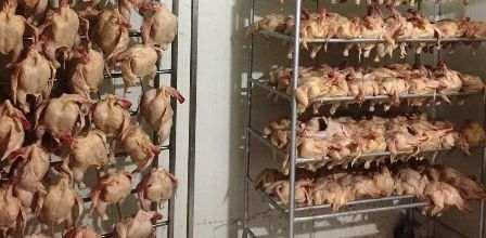 Tunisia – Sousse: Eight tons of poultry seized in an illegal slaughterhouse