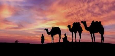 Tunisia – Two young camel shepherds discovered killed in desert between Gafsa and Tozeur