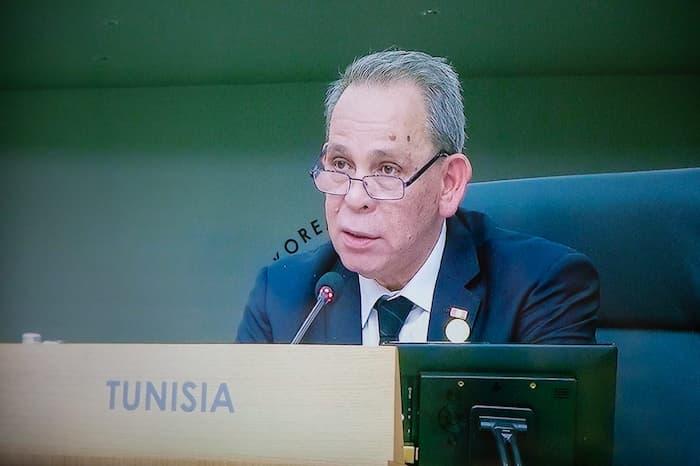 Ahmed Hachani: The revision of international financial system is necessary