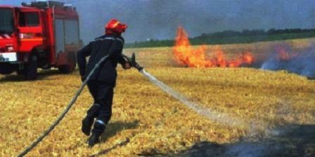 Tunisia – Heatwave: Siliana region in  grip of fires: 5 disasters in 12 hours
