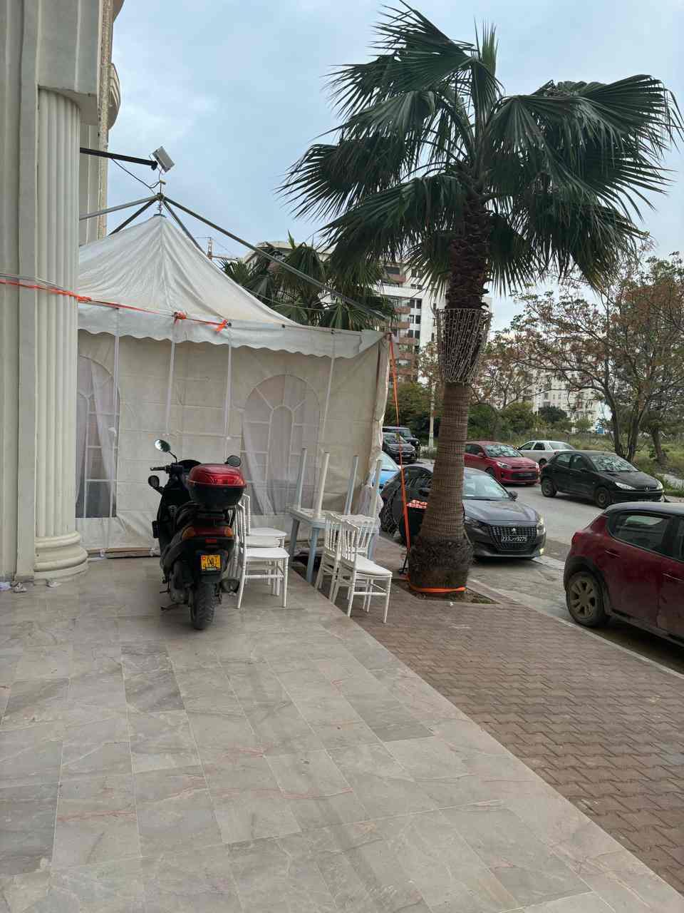 Jardins de Carthage : Quand les trottoirs se métamorphosent en salle à manger : l’appétit...