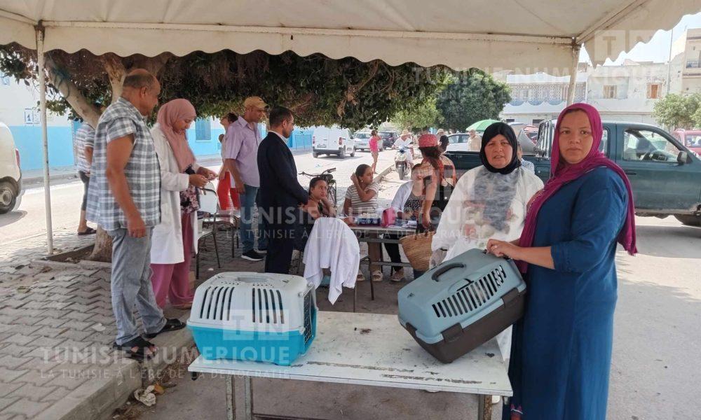 Lutte contre la rage: Une campagne de vaccination gratuite à Nabeul