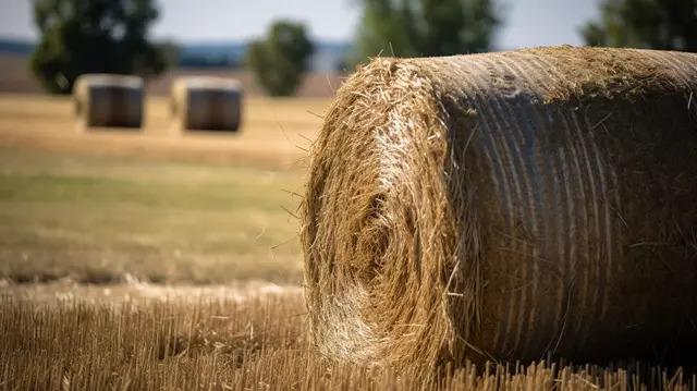 Béja: Un incendie ravage 400 balles de paille