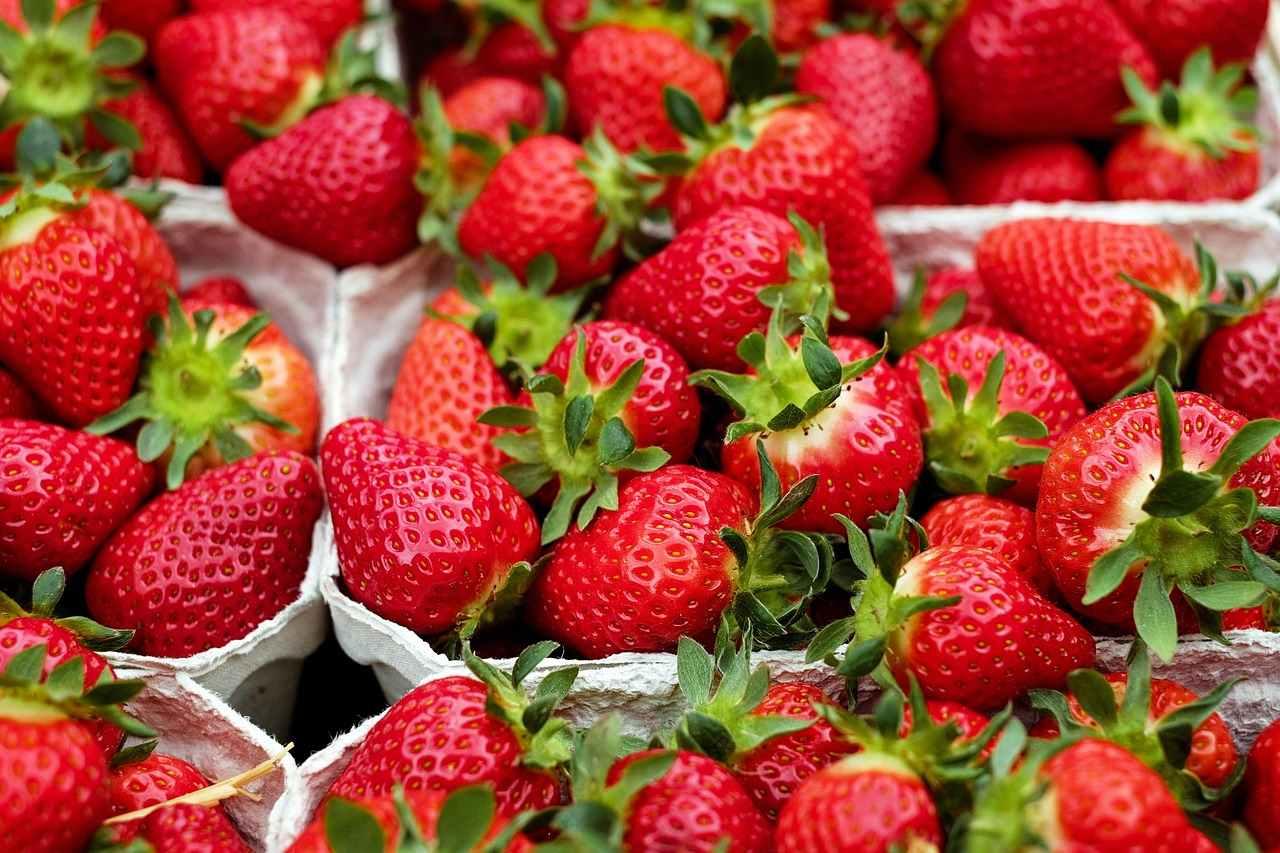 Les fraises envahissent les étals : entre délice saisonnier et prudence sanitaire
