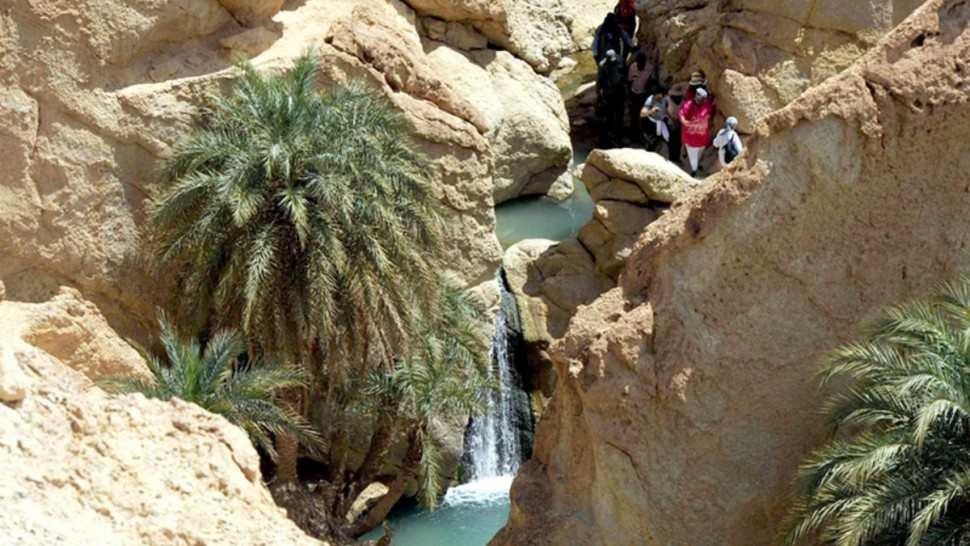 Tourisme : Tozeur séduit de plus en plus de visiteurs en 2025