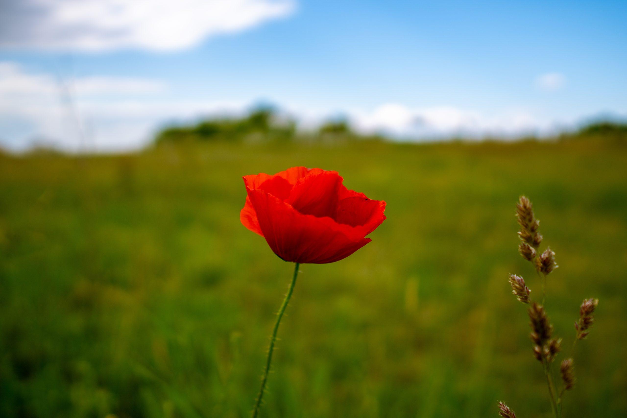Météo: Températures en légère hausse et quelques pluies au nord